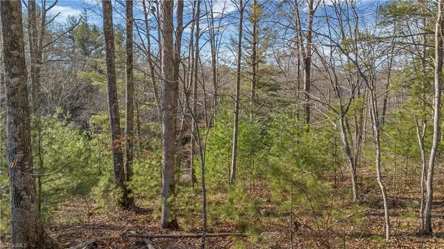 $27,000 | Tbd Tbd River, Laurel Springs, NC 28644