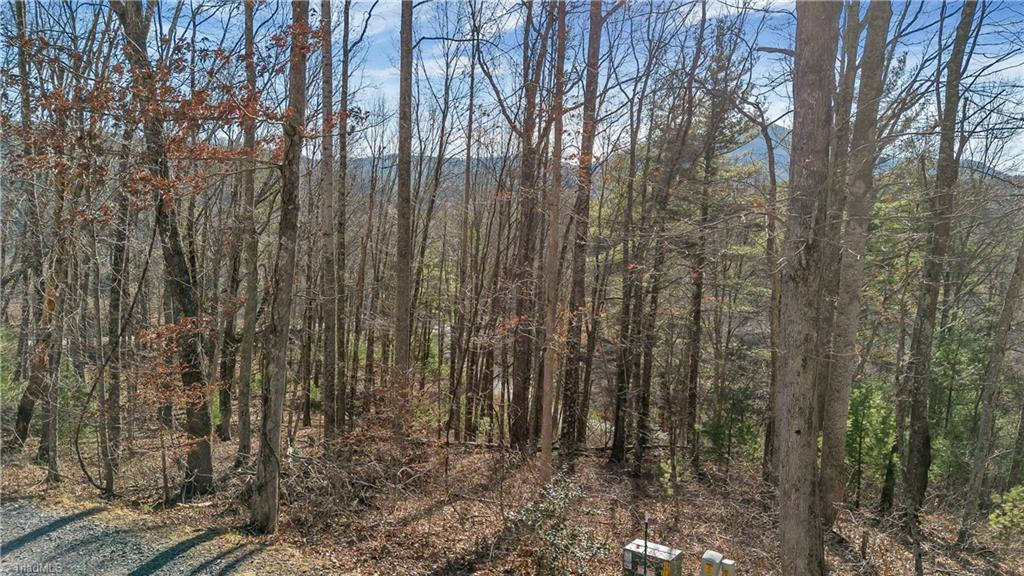 Tbd Tbd River Laurel Springs, NC 28644 - Photo 9 of 26