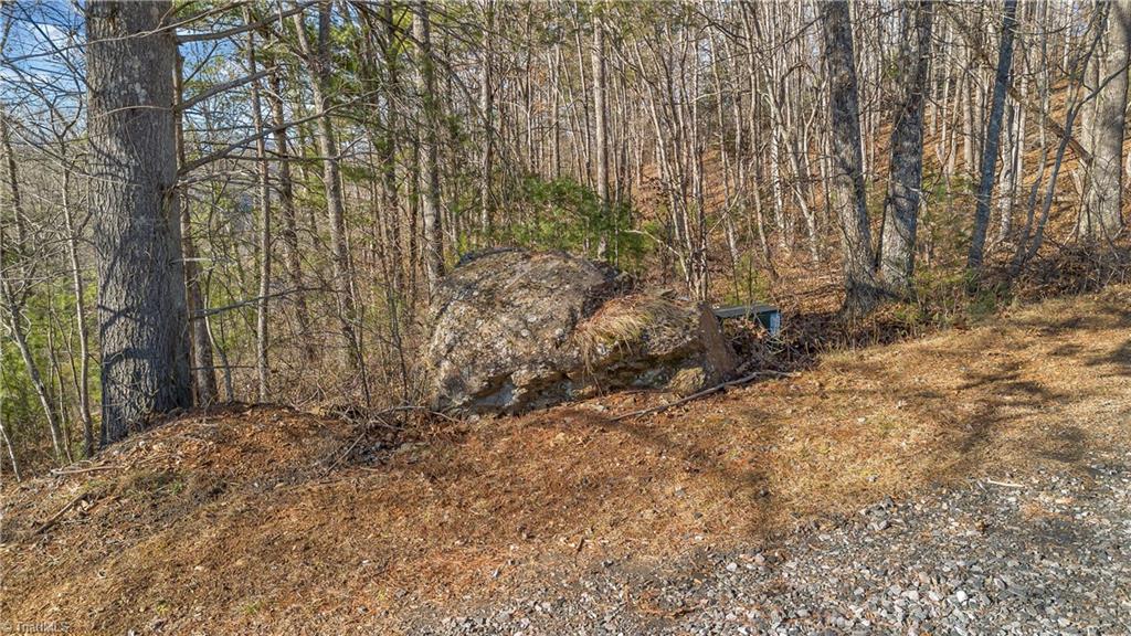 Tbd Tbd River Laurel Springs, NC 28644 - Photo 10 of 26