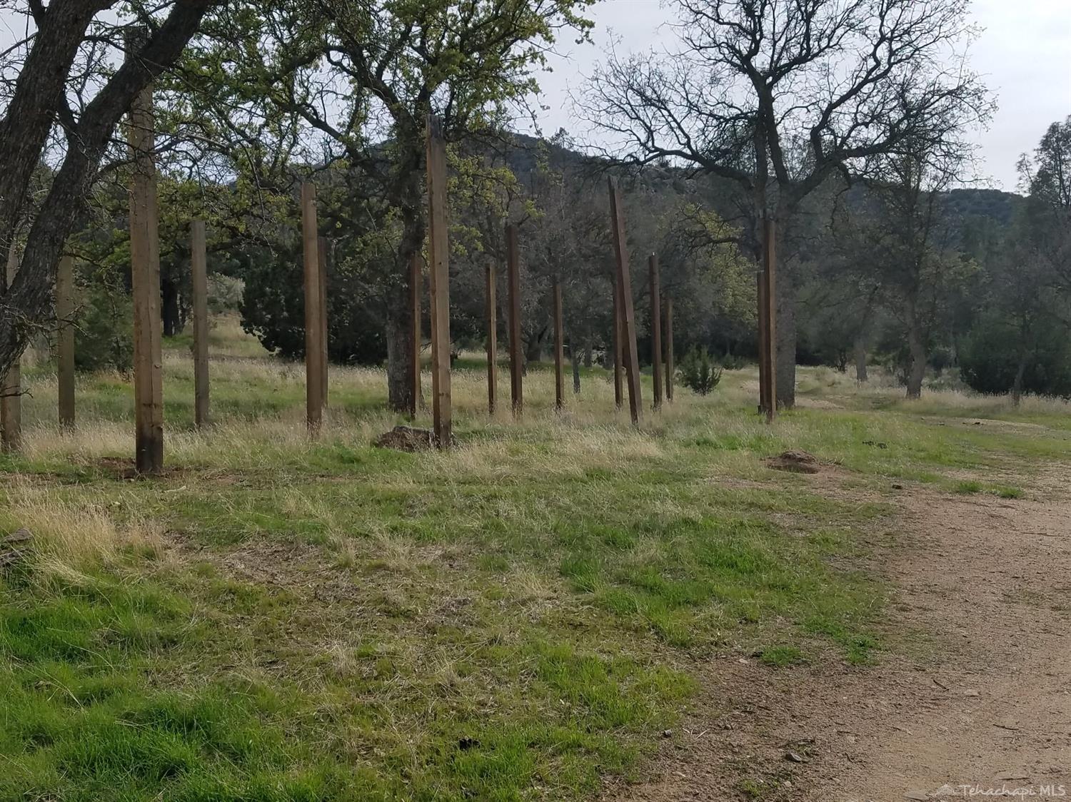 11900 Back Canyon Road Caliente, CA 93518 - Photo 14 of 30 Gallery Image 14