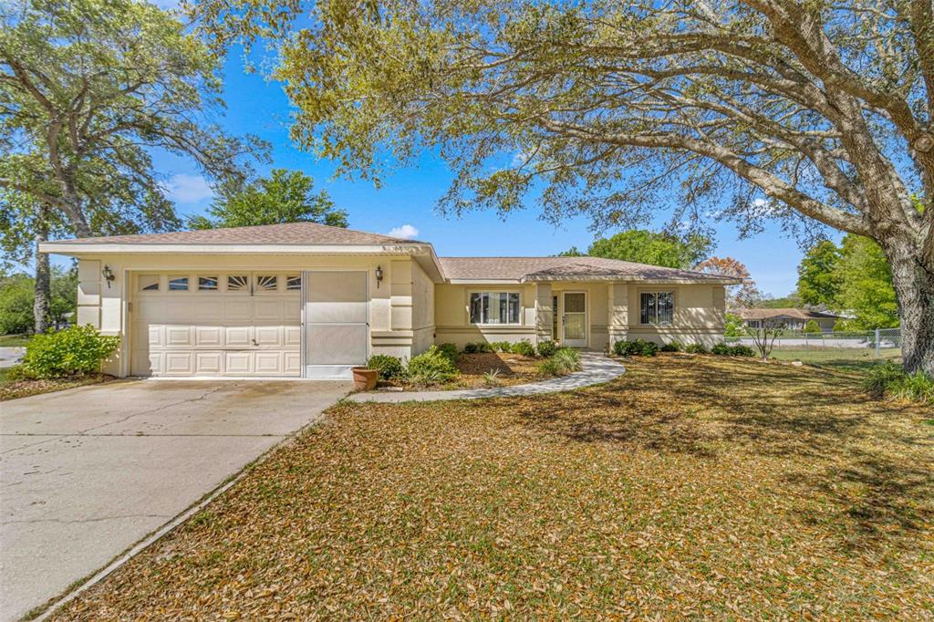 a front view of a house with yard and green space