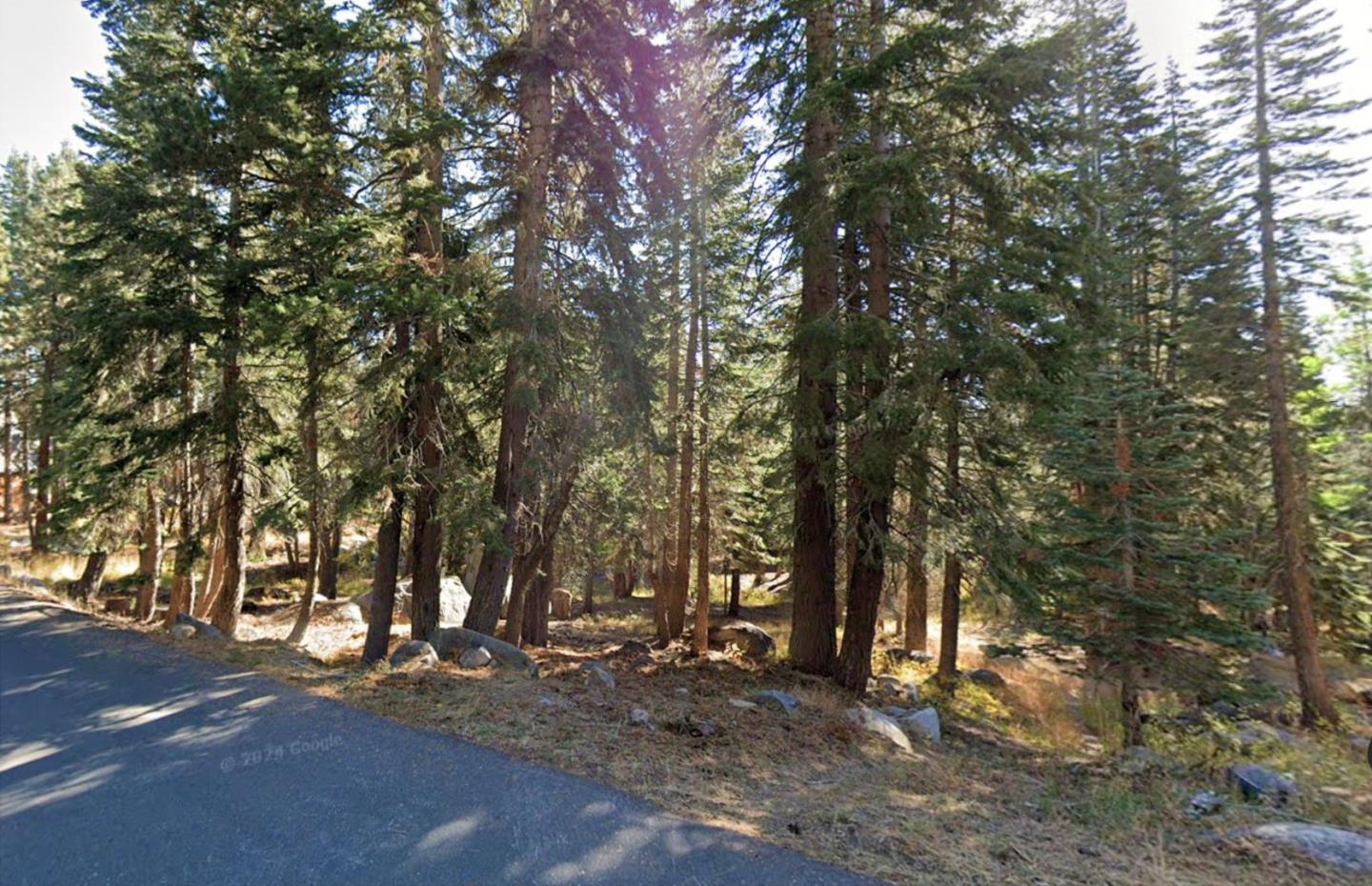 116 John Ebbetts Road Bear Valley, CA 95223 - Photo 1 of 9