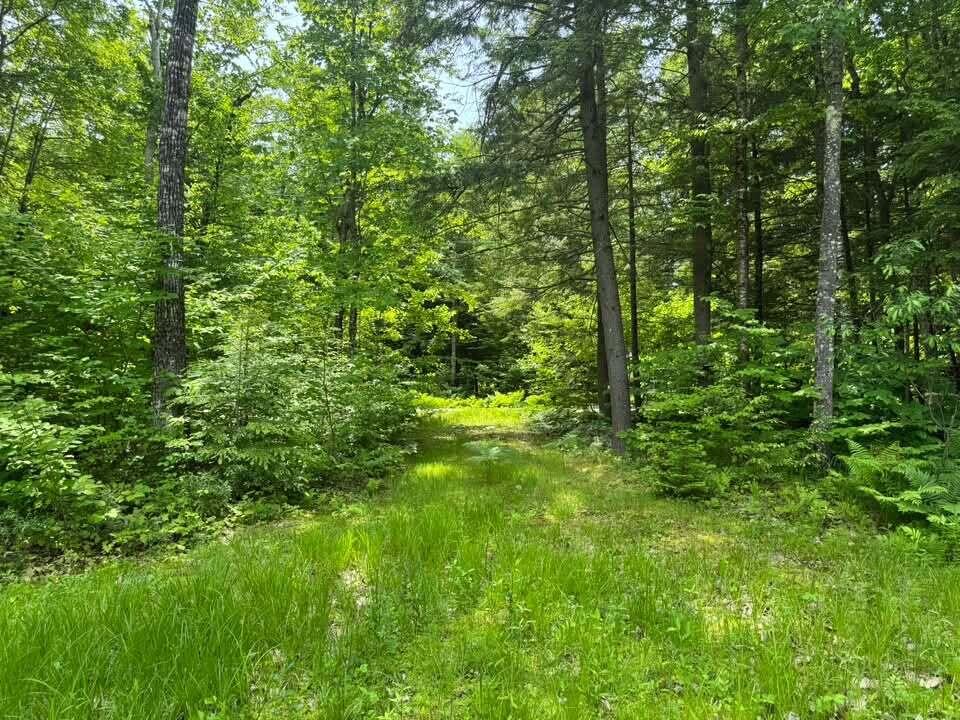 Tbd Jim Small Road Casco, ME 04015 - Photo 5 of 6 725173296_28332902776309423_393194997102