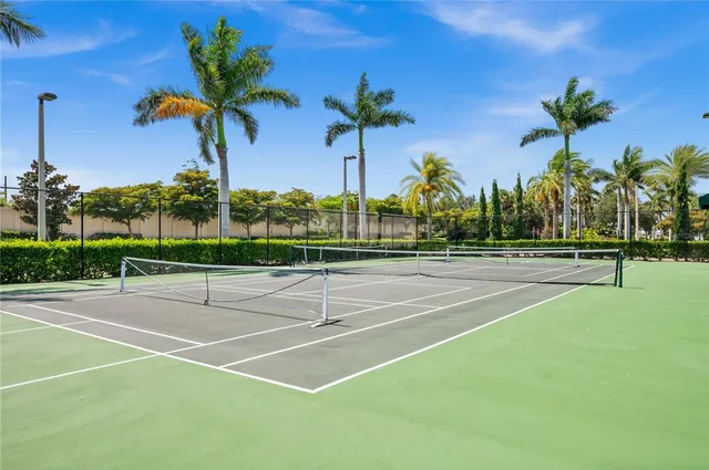 a view of a basket ball court and palm trees