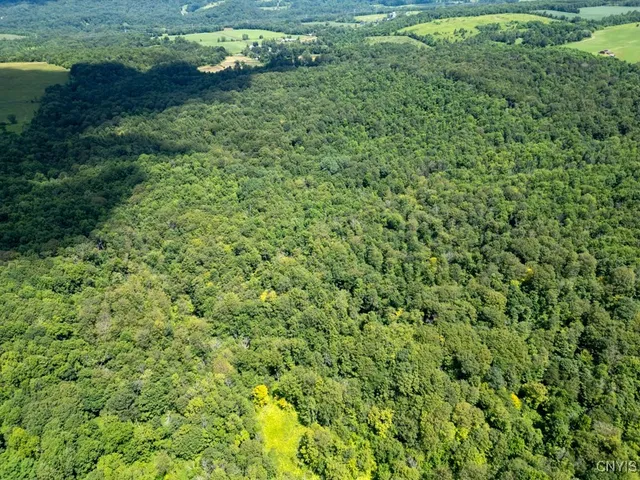 $420,000 | 989 Robinson Road, Warren, NY 13407