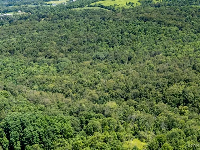 $420,000 | 989 Robinson Road, Warren, NY 13407