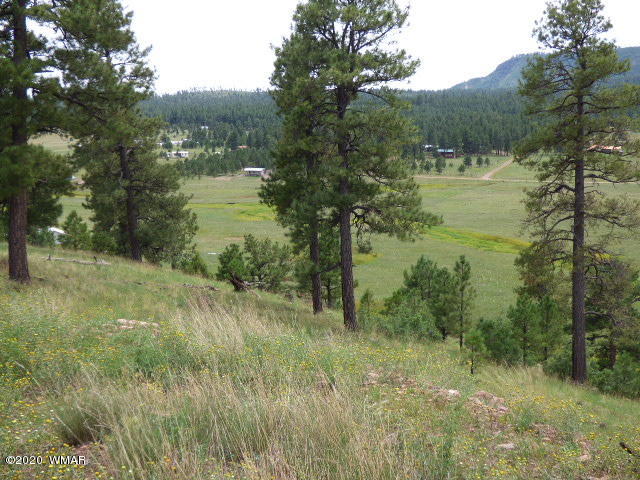 Lot 5 The Ranch Alpine, AZ 85920 - Photo 18 of 24 Gallery Image 18