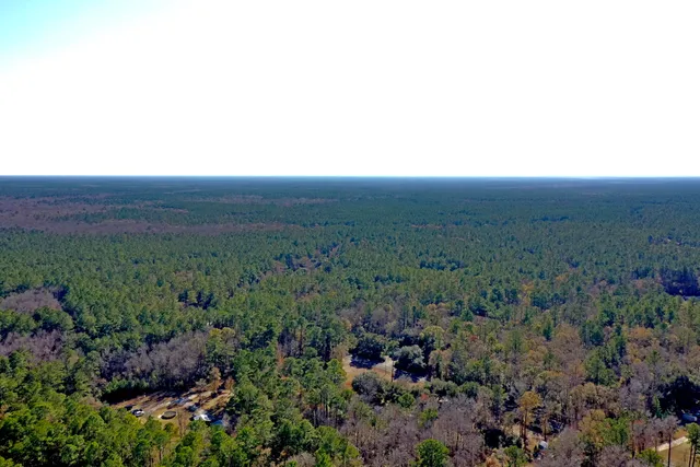 $28,000 | 0 Pickin Parlor Lane, Cordesville, SC 29434