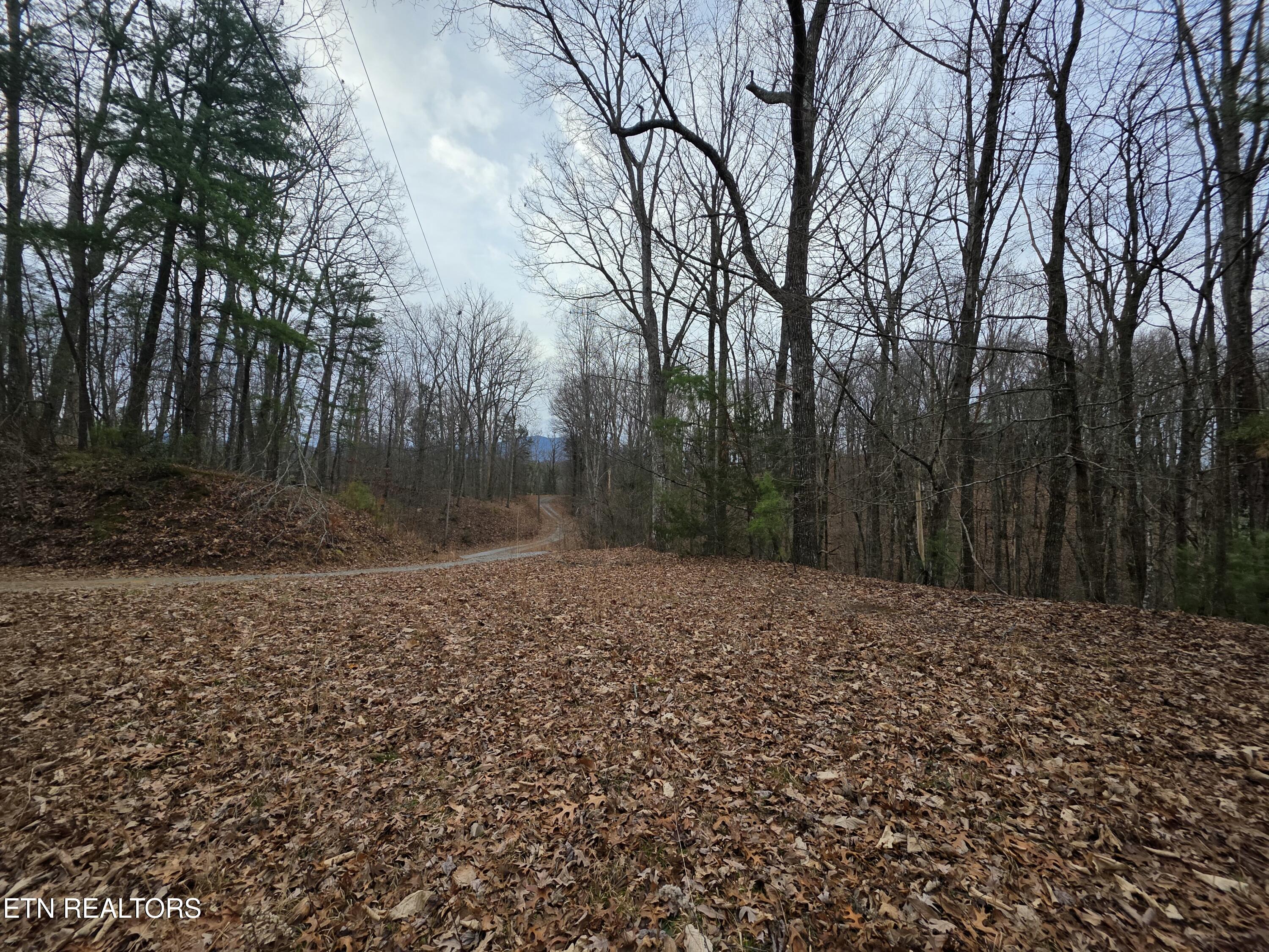 Lot 4 Deer Ridge Lane Sevierville, TN 37876 - Photo 7 of 17 20260114_082431