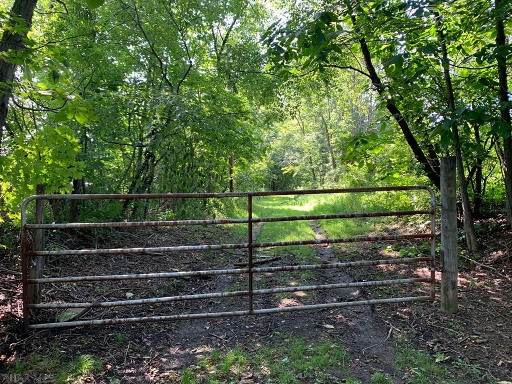 Off Sloans Hollow Road New Paris, PA 15554 - Photo 2 of 9 Gallery Image 2