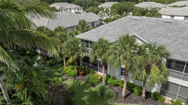 a view of a garden with plants