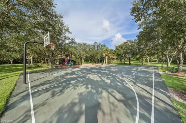 a view of a park with large trees