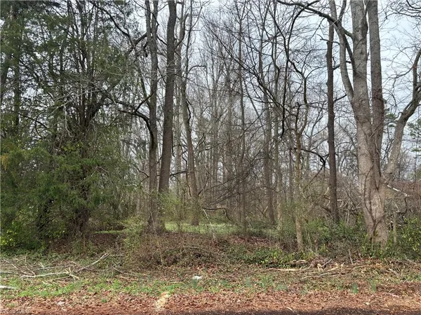 $25,000 | 0 Lowell Street, Lexington, NC 27295
