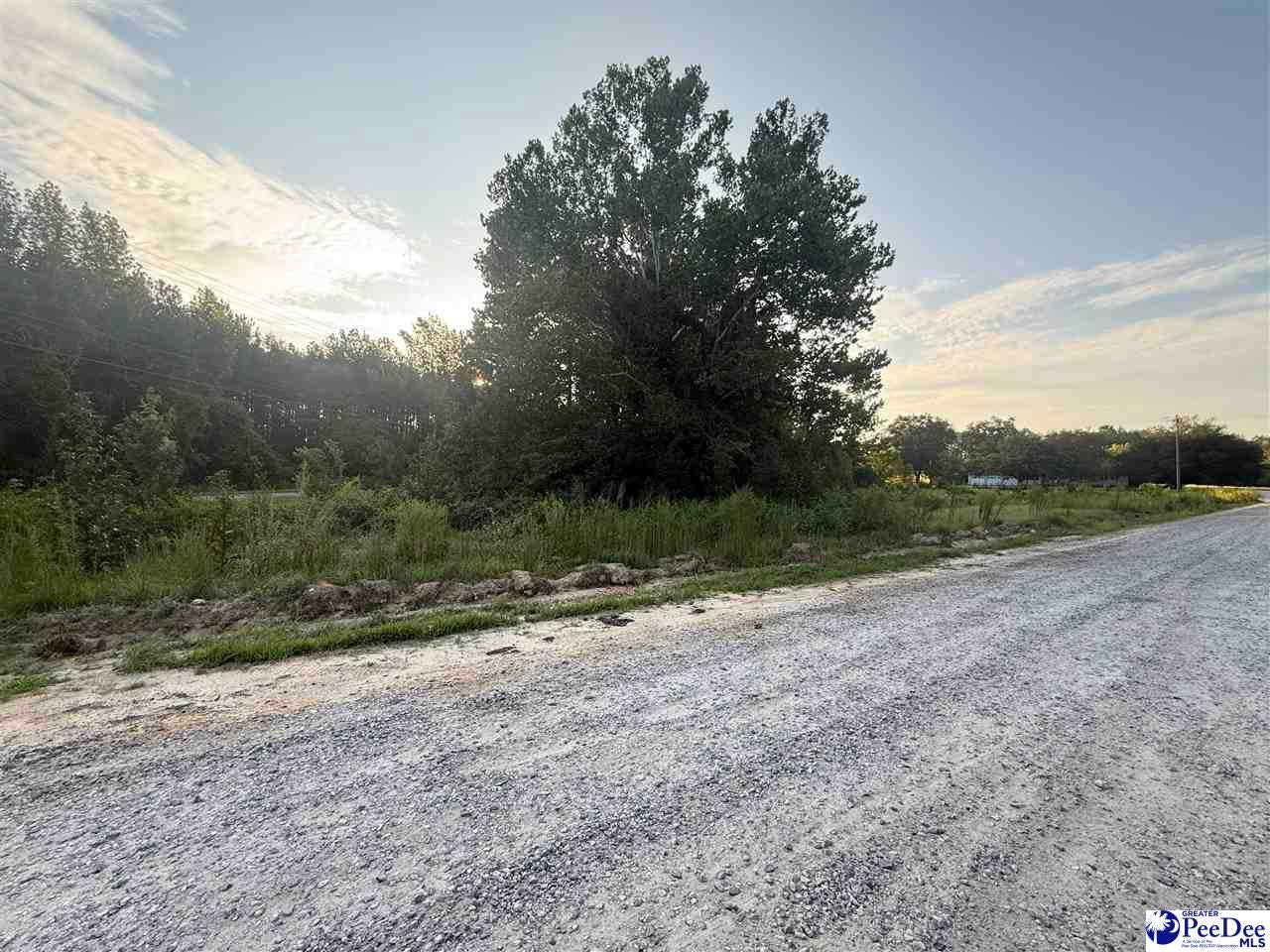 Lot 3 Hunts Mill Road Cheraw, SC 29520 - Photo 4 of 11 Gallery Image 4
