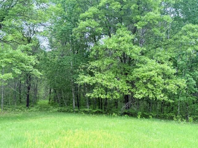 40781 County 2 Bagley, MN 56621 - Photo 15 of 15