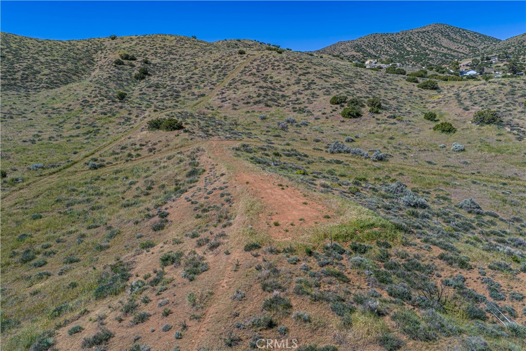 0 Jason Road Acton, CA 93510 - Photo 10 of 19 a view of a yard with a mountain