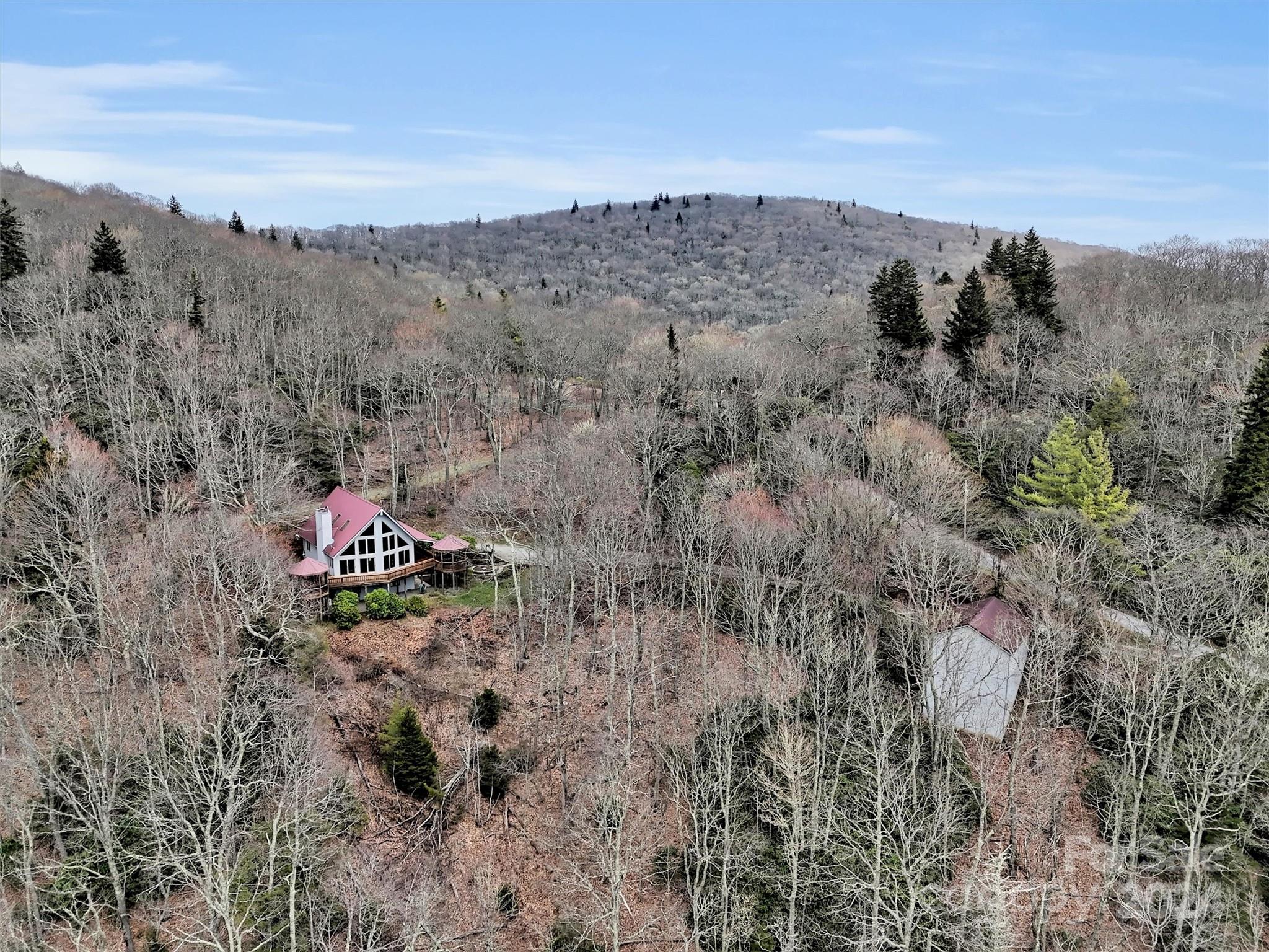 2521 Pless Underwood Road Maggie Valley, NC 28751 - Photo 45 of 46 a view of a dry field with trees in the background