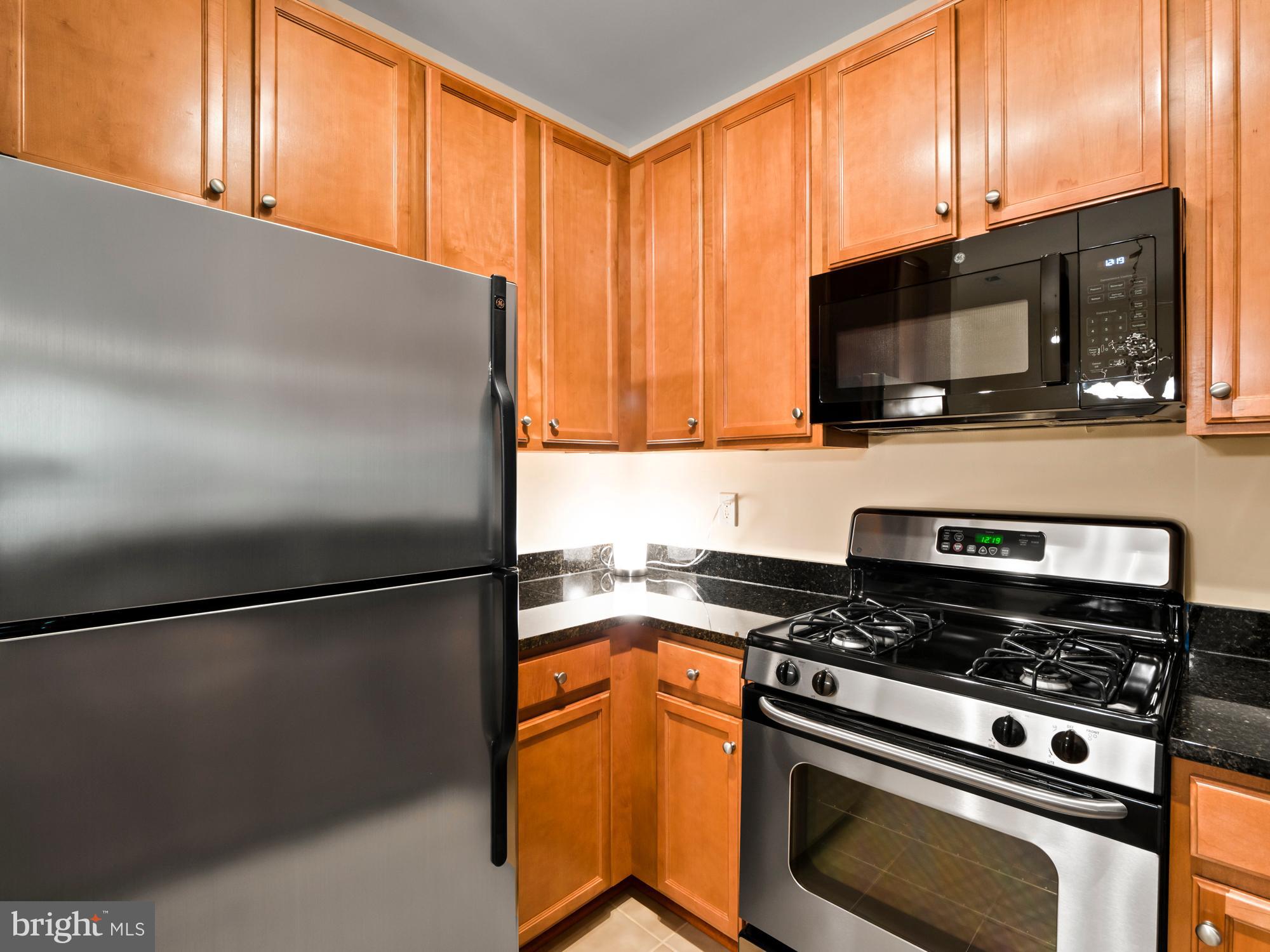1505 North Point Drive, Unit 303 Reston, VA 20194 - Photo 4 of 19 Gallery Image 4