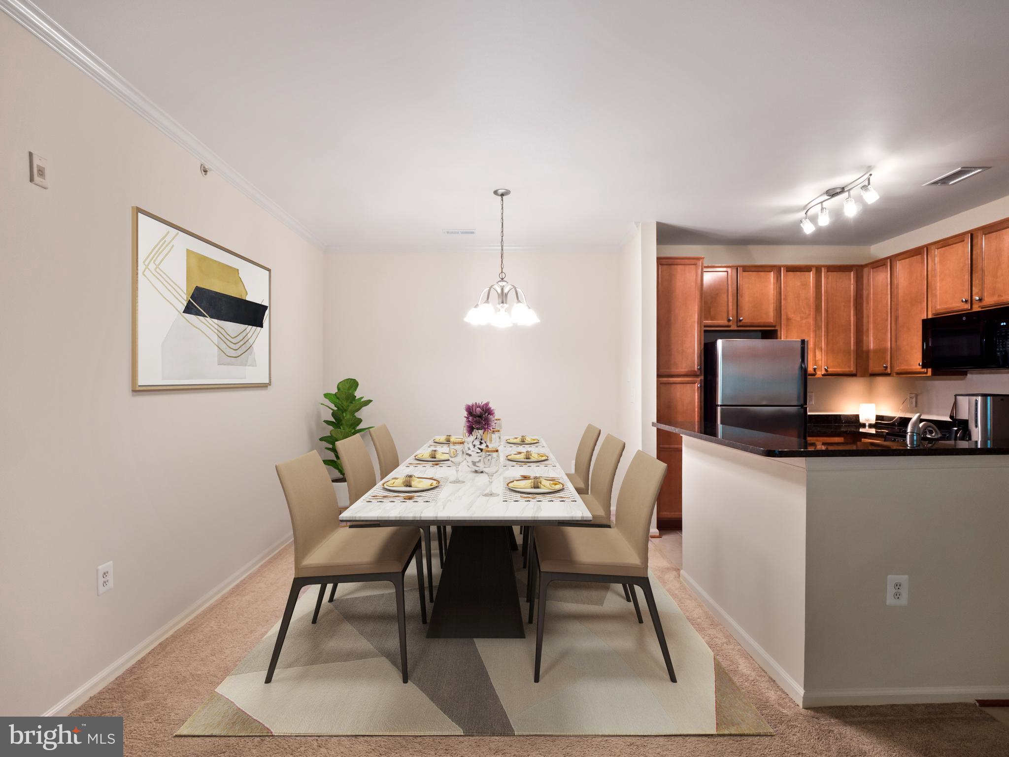1505 North Point Drive, Unit 303 Reston, VA 20194 - Photo 7 of 19 Gallery Image 7