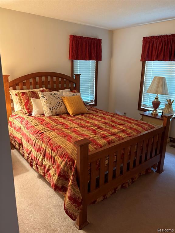 2843 North Branch Road North Branch, MI 48461 - Photo 19 of 58 Gallery Image 19