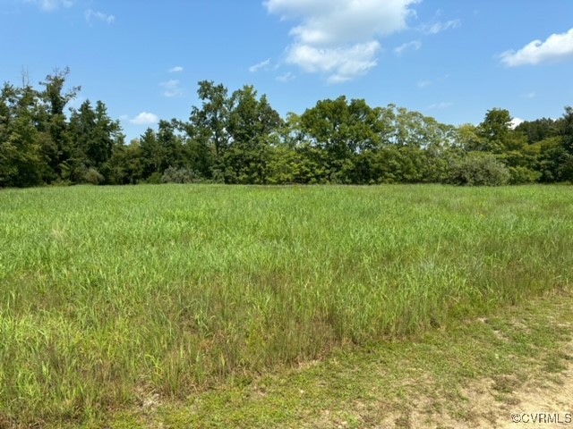 16197 Wakefield Road Courtland, VA 23837 - Photo 15 of 46 Gallery Image 15