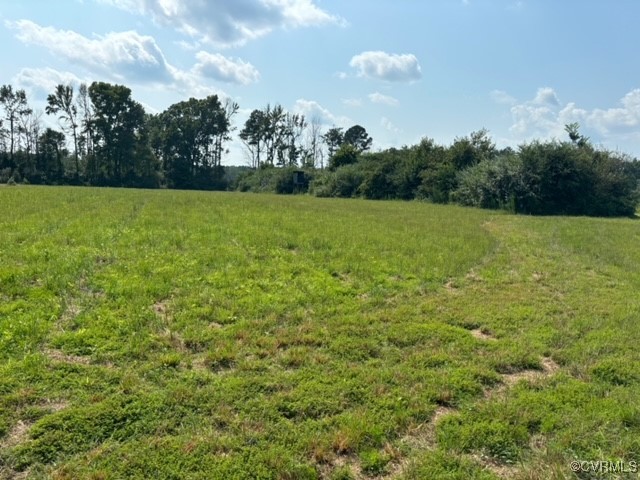 16197 Wakefield Road Courtland, VA 23837 - Photo 24 of 46 Gallery Image 24