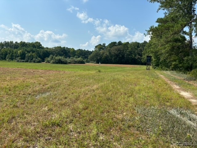 16197 Wakefield Road Courtland, VA 23837 - Photo 25 of 46 Gallery Image 25