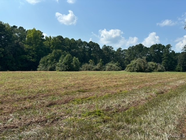 16197 Wakefield Road Courtland, VA 23837 - Photo 26 of 46 Gallery Image 26