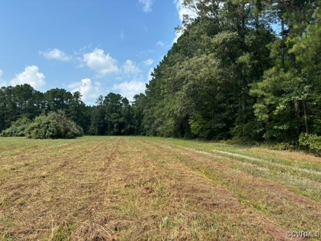 16197 Wakefield Road Courtland, VA 23837 - Photo 27 of 46 Gallery Image 27