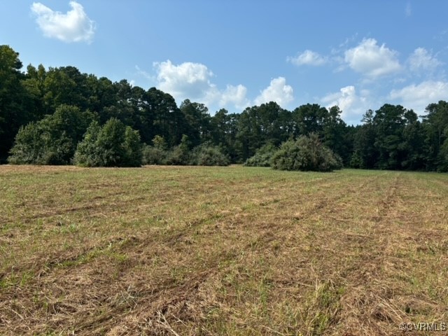16197 Wakefield Road Courtland, VA 23837 - Photo 28 of 46 Gallery Image 28