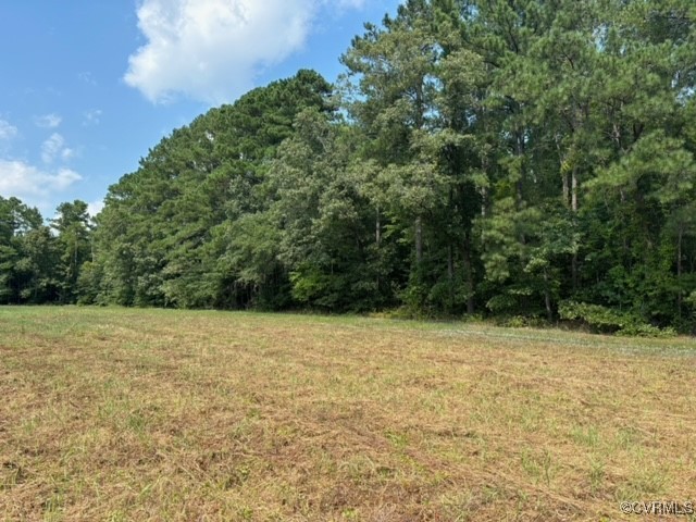 16197 Wakefield Road Courtland, VA 23837 - Photo 29 of 46 Gallery Image 29
