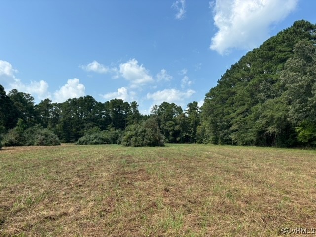 16197 Wakefield Road Courtland, VA 23837 - Photo 30 of 46 Gallery Image 30