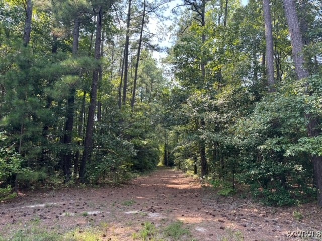 16197 Wakefield Road Courtland, VA 23837 - Photo 31 of 46 Gallery Image 31