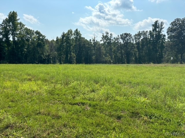 16197 Wakefield Road Courtland, VA 23837 - Photo 35 of 46 Gallery Image 35