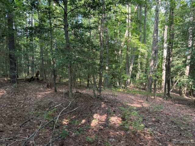16197 Wakefield Road Courtland, VA 23837 - Photo 36 of 46 Gallery Image 36