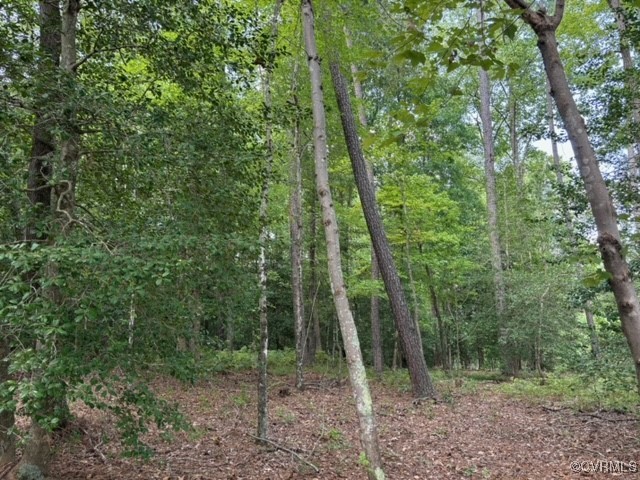 16197 Wakefield Road Courtland, VA 23837 - Photo 39 of 46 Gallery Image 39