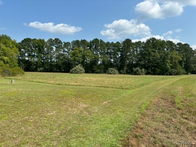 16197 Wakefield Road Courtland, VA 23837 - Photo 7 of 46 Gallery Image 7