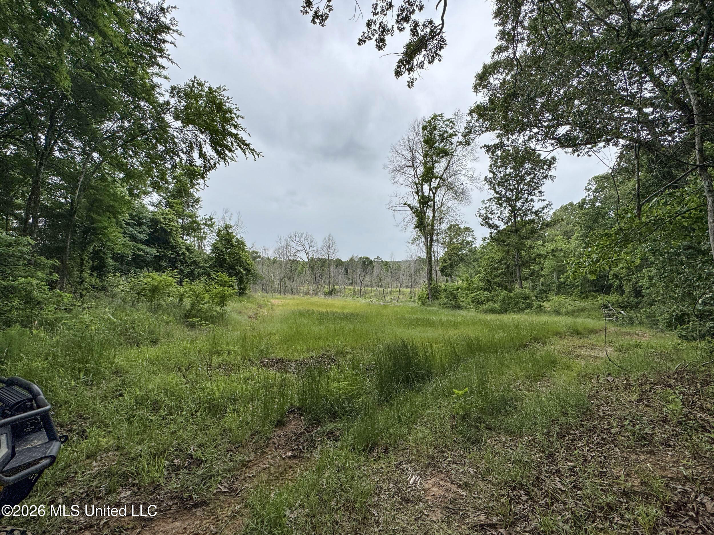 Wayne Massie Road Como, MS 38619 - Photo 172 of 184 5cdtbs121