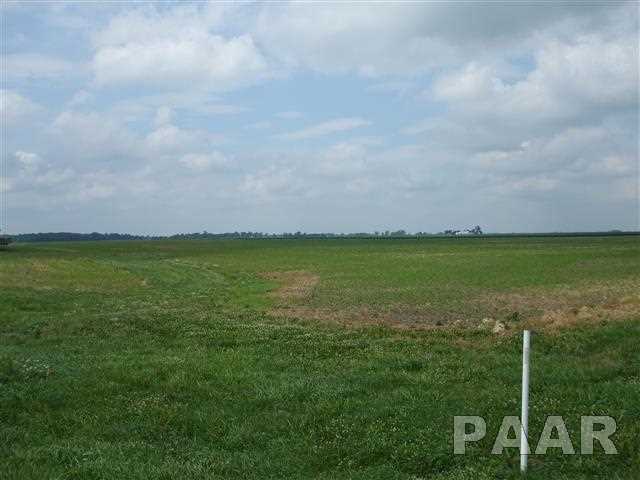 Lot 1 Stringtown Road Minier, IL 61759 - Photo 1 of 6