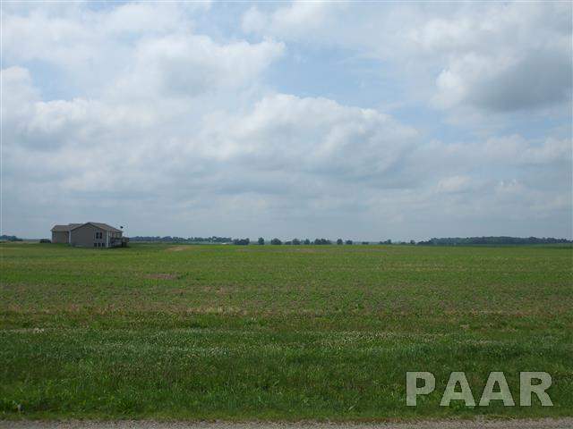 Lot 1 Stringtown Road Minier, IL 61759 - Photo 4 of 6
