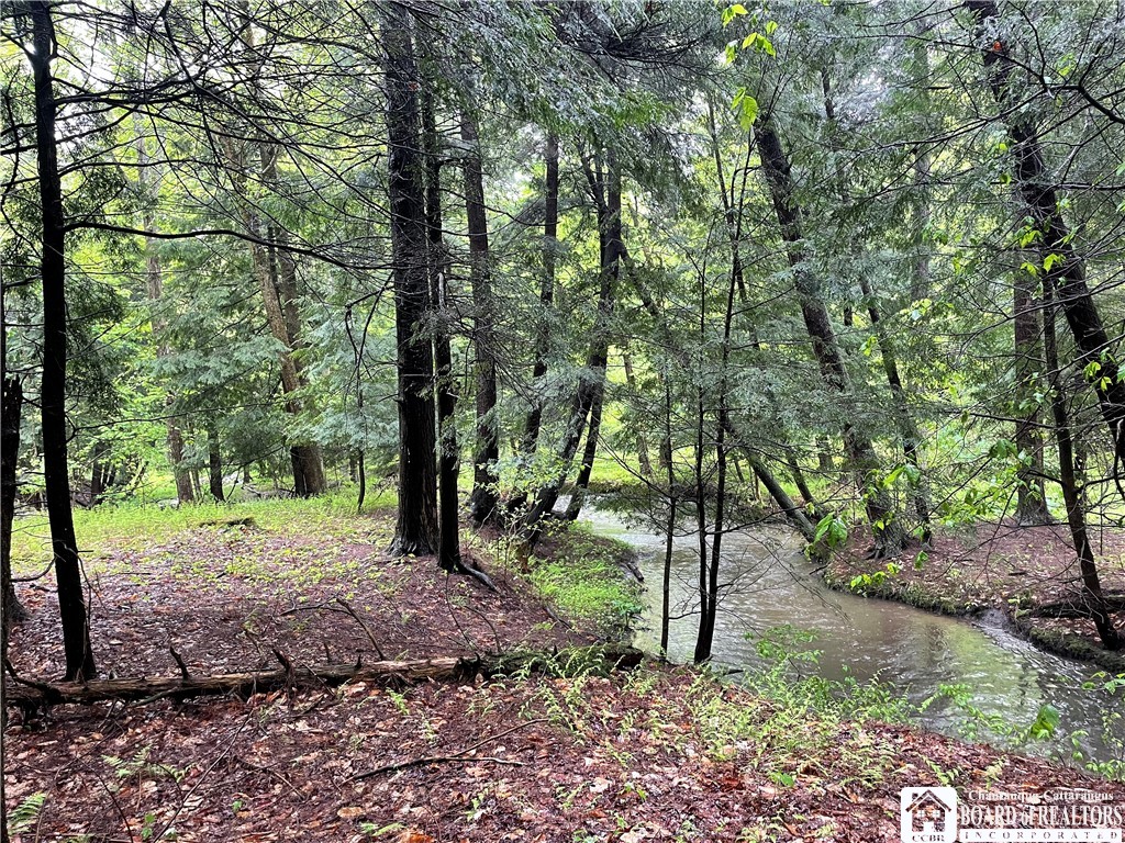 0 Walker Road Bemus Point, NY 14712 - Photo 7 of 25 Gallery Image 7
