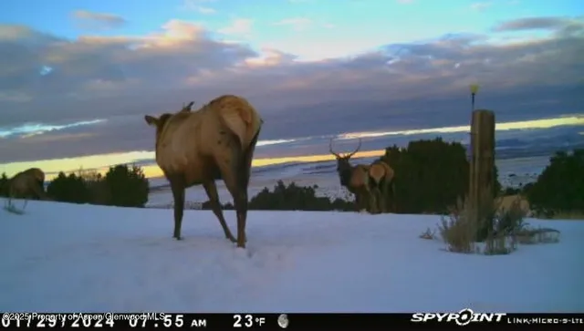 $4,200,000 | 18946 County Road 57, Craig, CO 81625