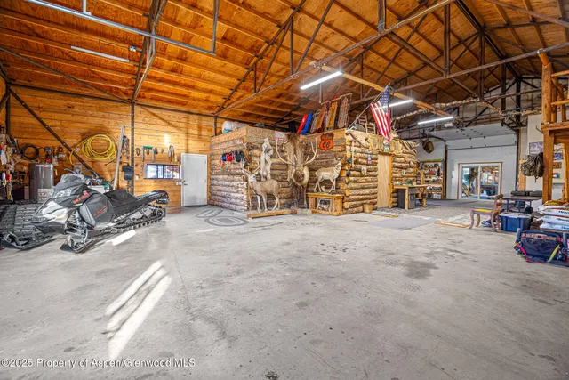 a view of a large tree