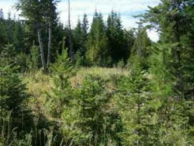 L-4 Greenhouse Road Ione, WA 99139 - Photo 3 of 8