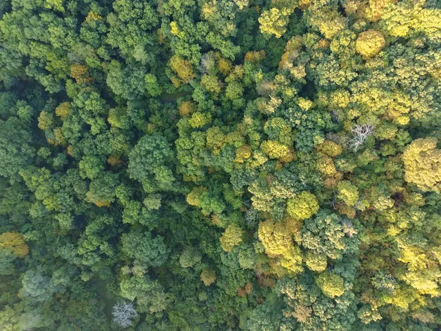 $2,975,000 | Anderson, Richland Center, WI 53581