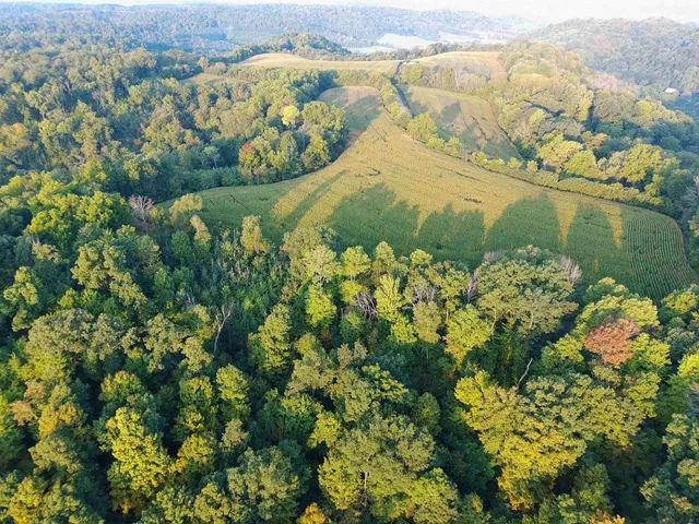 $2,975,000 | Anderson, Richland Center, WI 53581