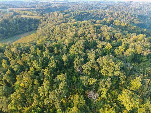 $2,975,000 | Anderson, Richland Center, WI 53581