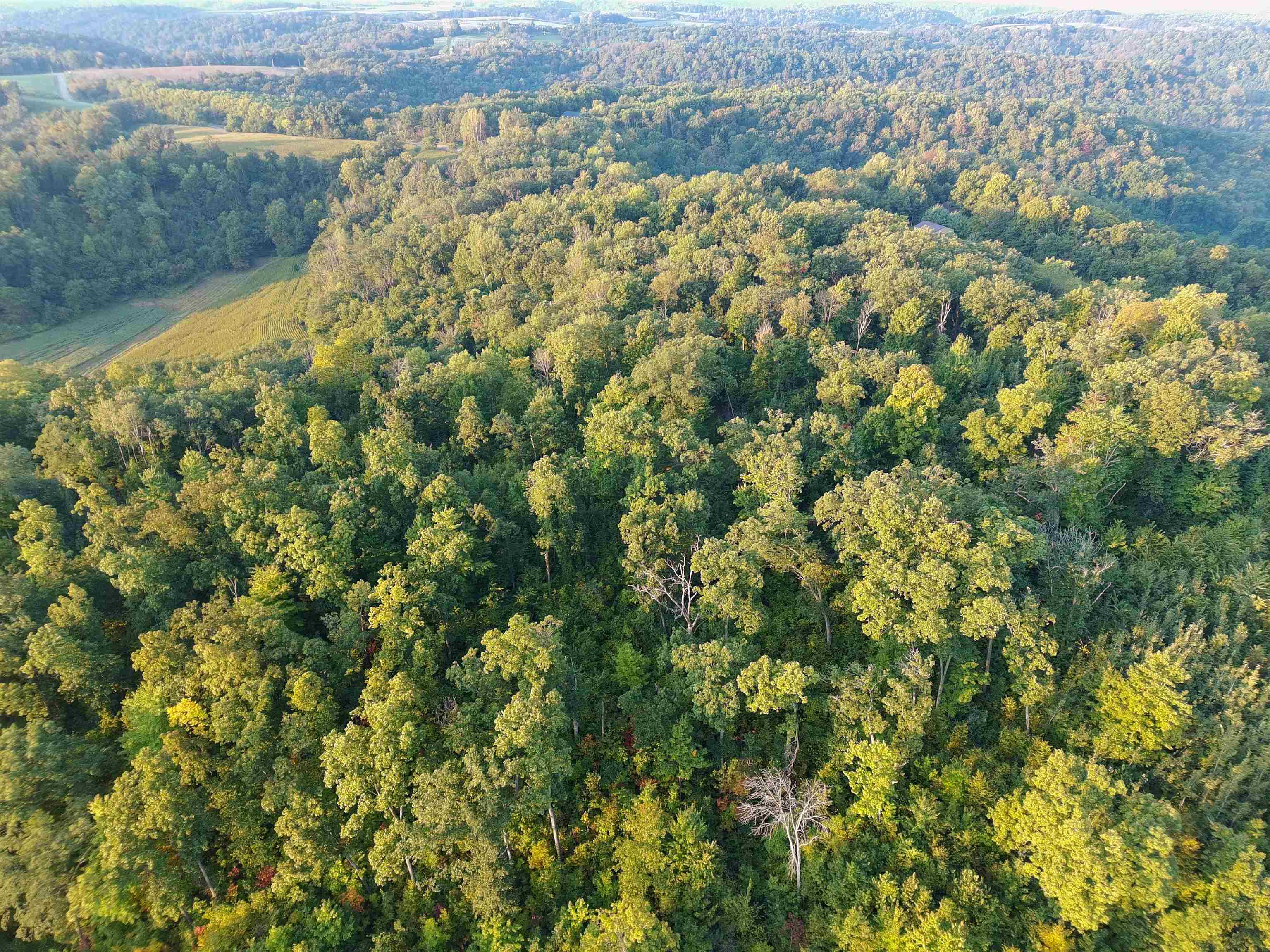 Anderson Richland Center, WI 53581 - Photo 13 of 89