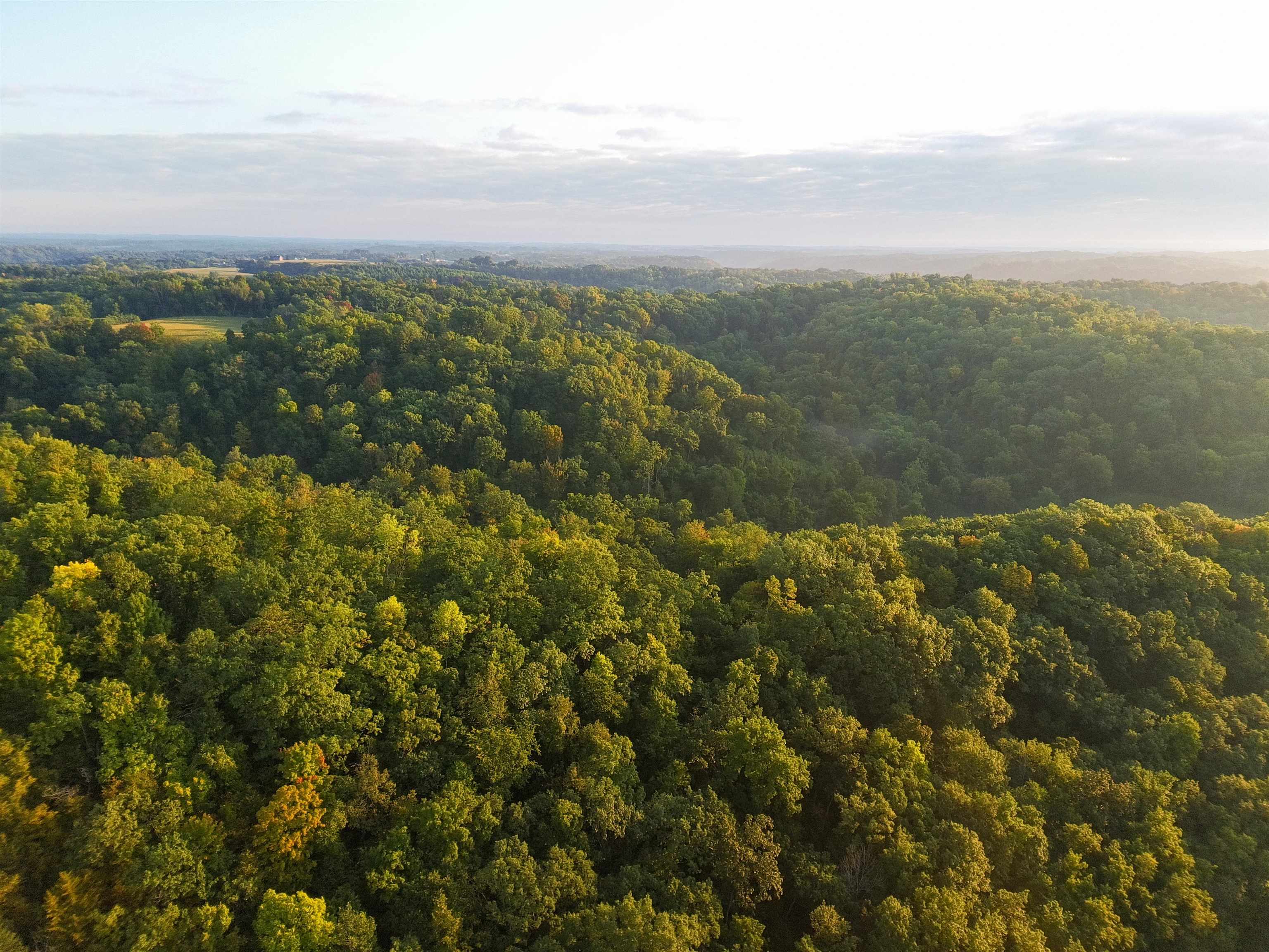 Anderson Richland Center, WI 53581 - Photo 14 of 89