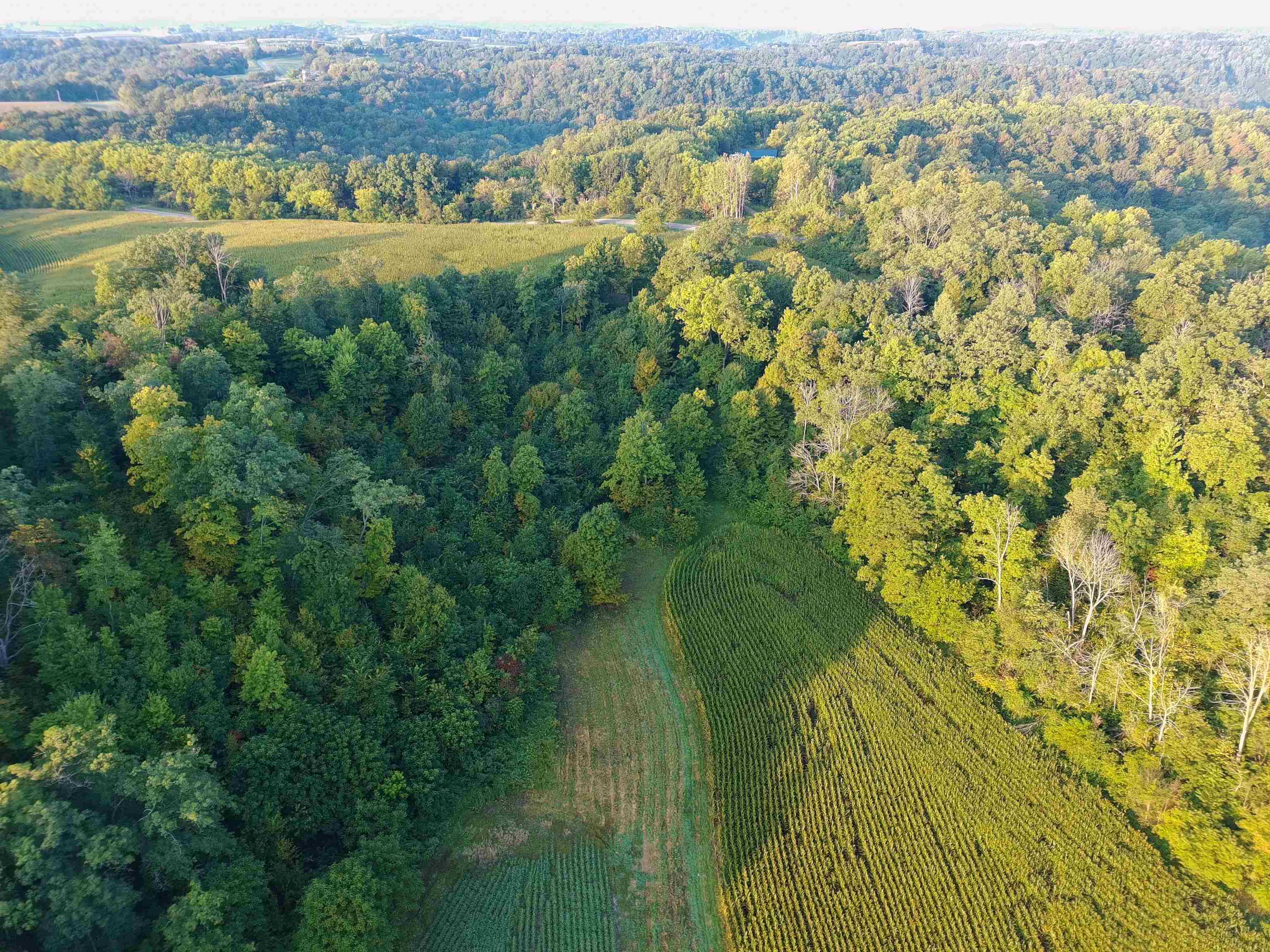 Anderson Richland Center, WI 53581 - Photo 15 of 89